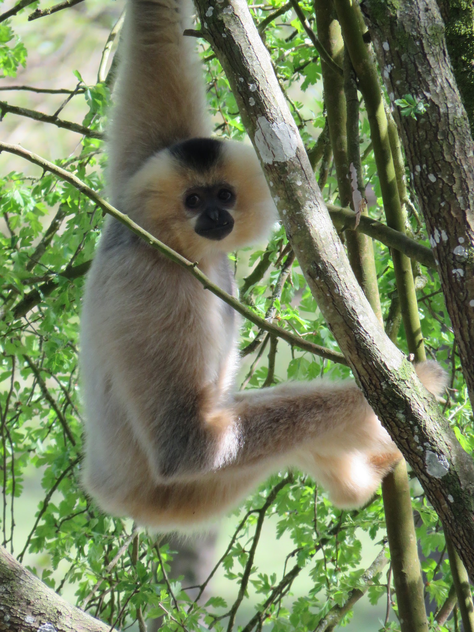 Photo n° 6 de l'avis de Delphine.� fait le 17/04/2022 à 17:54