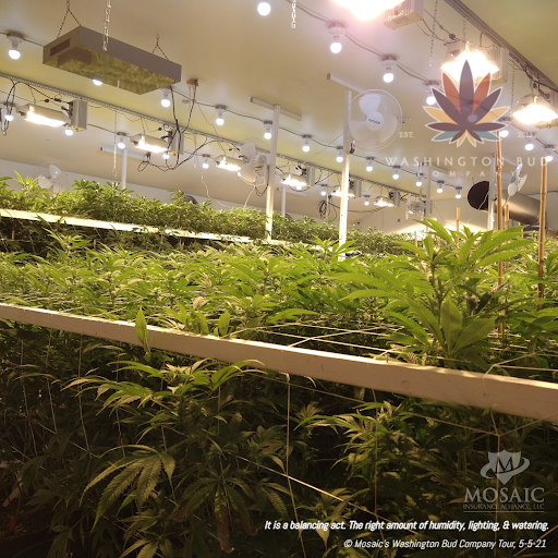 Insurance Agency «Mosaic Insurance Alliance LLC», reviews and photos