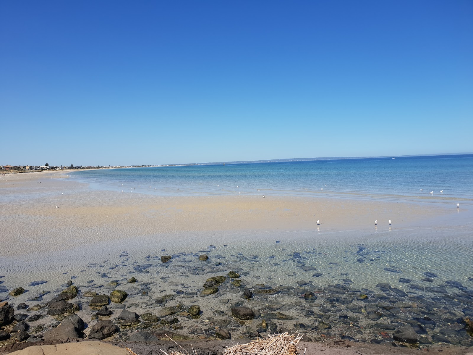 Photo de Aspendale Beach zone des équipements