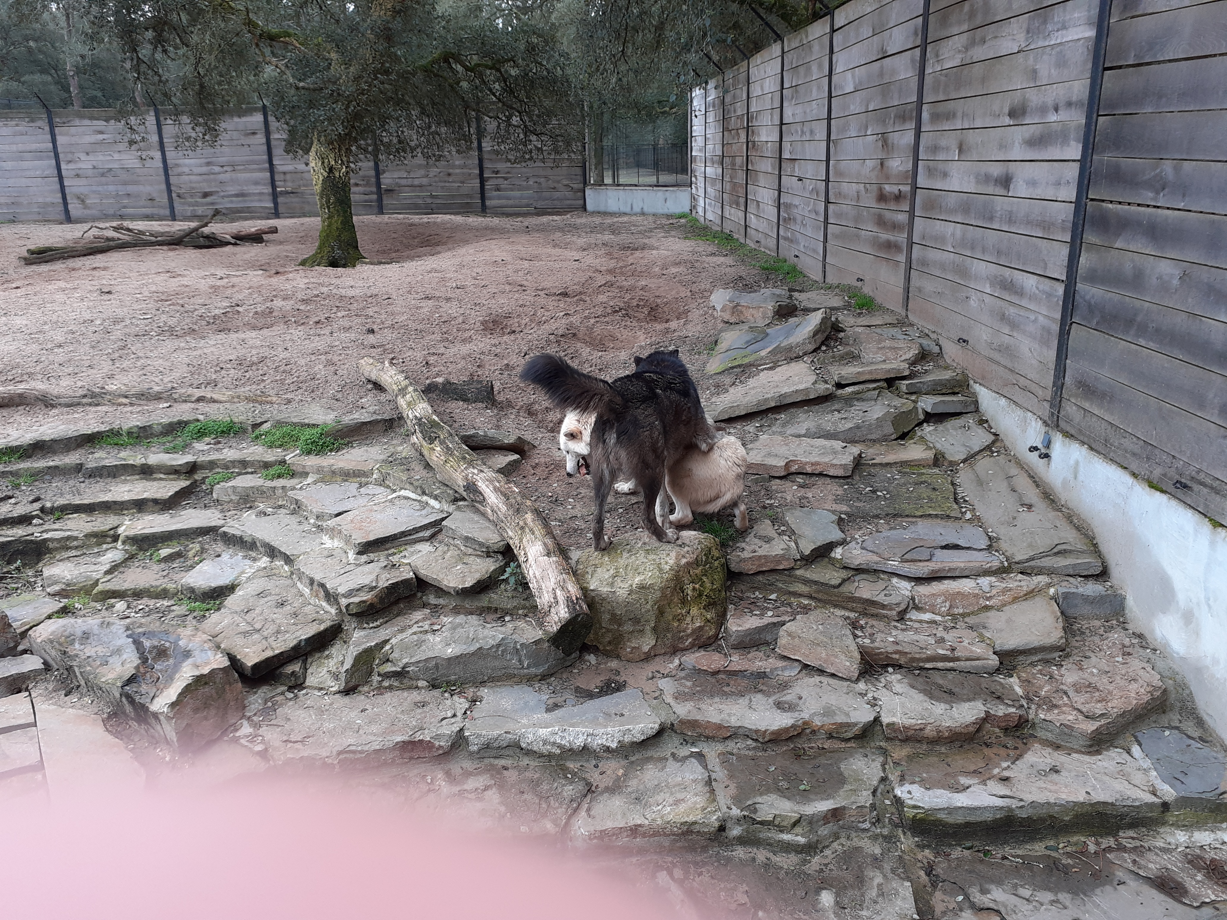 Photo n° 4 de l'avis de Estelle.i fait le 21/02/2022 à 20:25