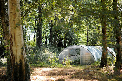 Vergers de la Ronce à Abbaretz