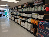 Solutions Pest & Lawn - Photo 2 - Car repair in Houston, TX, Pasadena