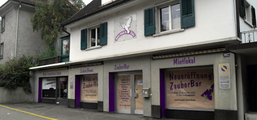 Magic Shop Magic School Zurich