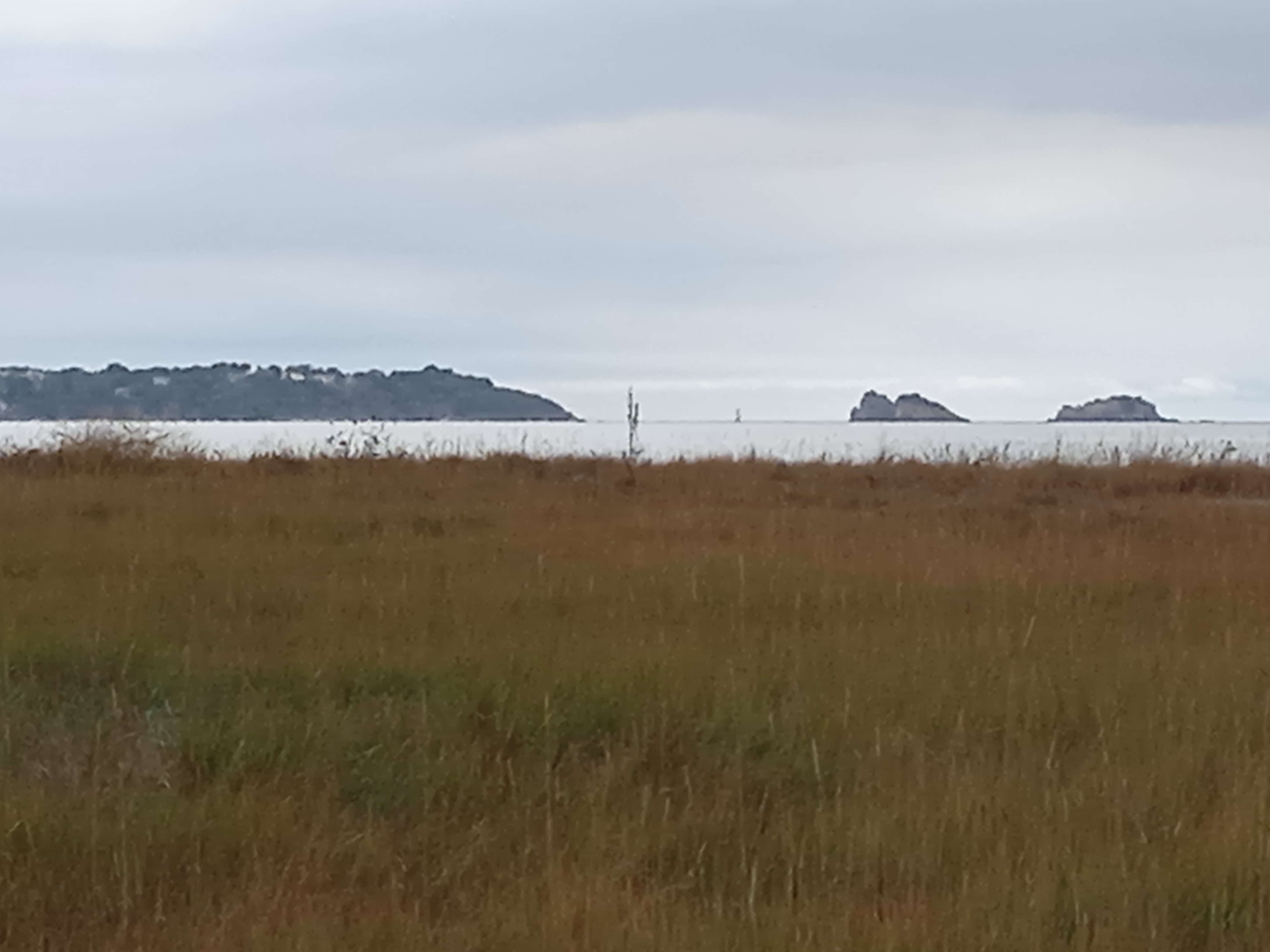 Photo n° 3 de l'avis de Thierry.o fait le 23/08/2022 à 15:22