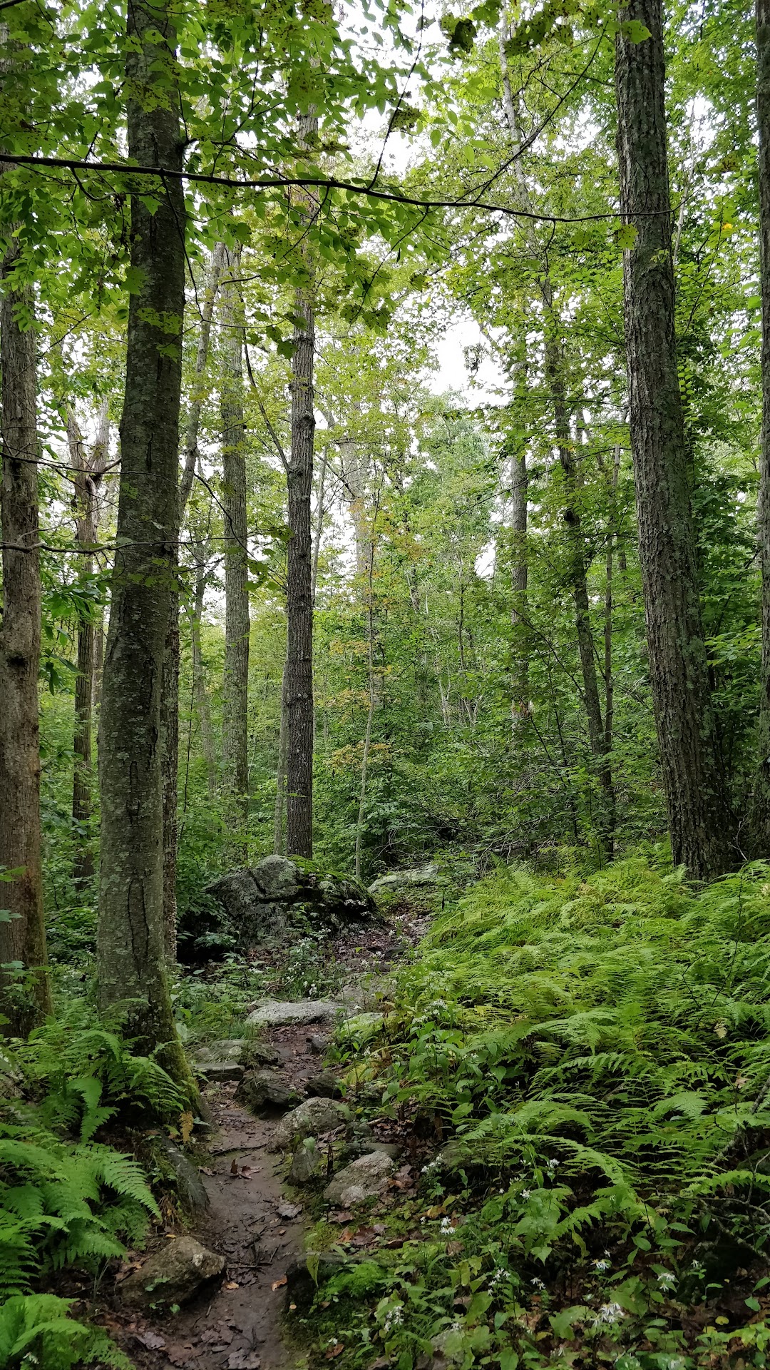 Day Pond State Park