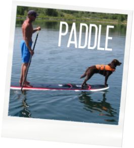 Water Sports Equipment Rental Service «Great Lakes Surf Shop», reviews and photos, 23517 9 Mack Dr, St Clair Shores, MI 48080, USA