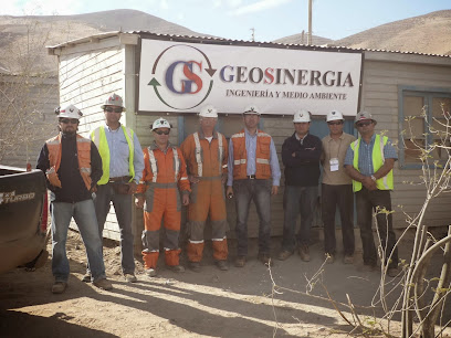 Geosinergia Ingeniería Y Medio Ambiente Ltda.