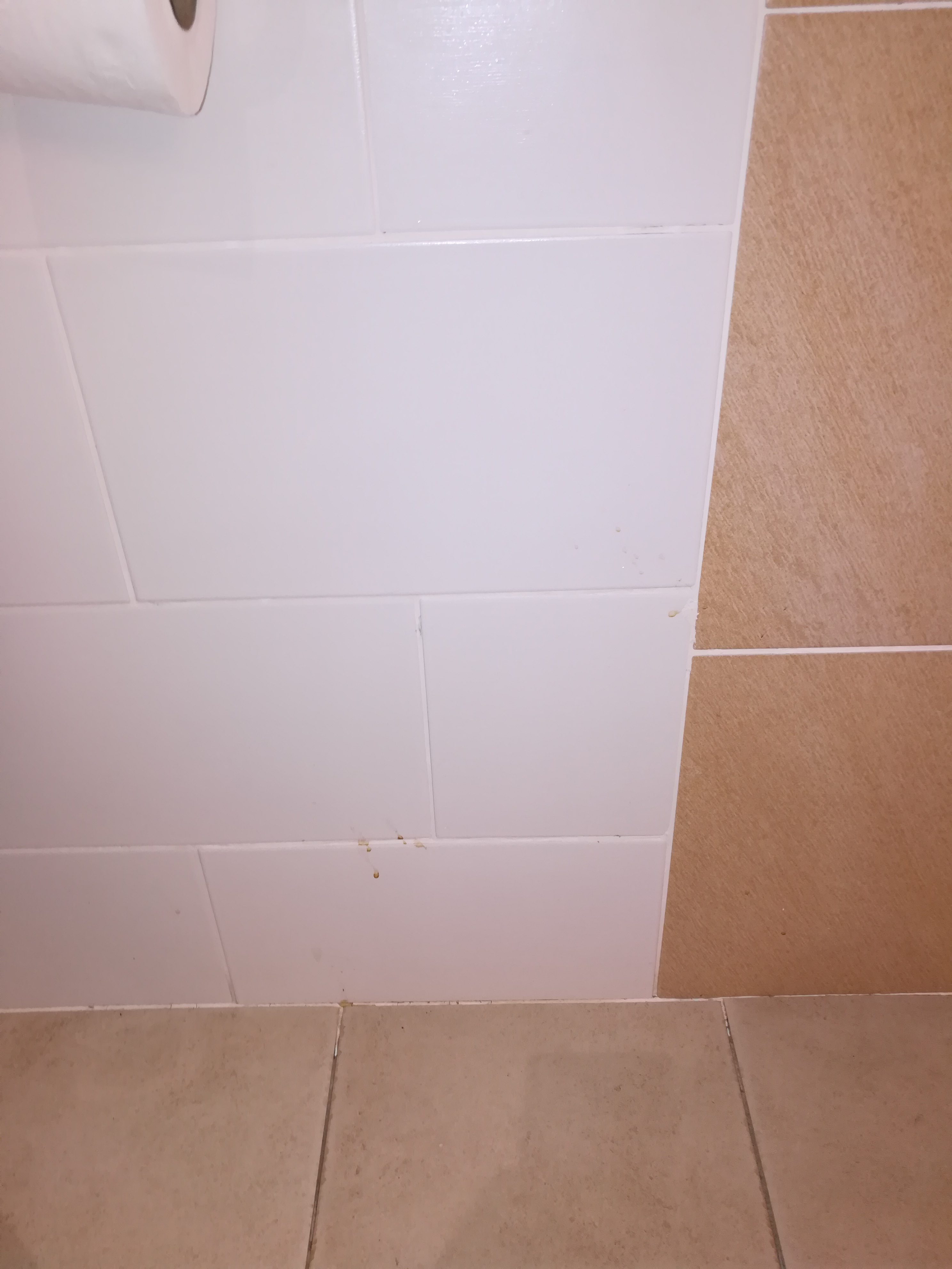 Photo n° 3 de l'avis de Mag.a fait le 04/01/2024 à 22:42