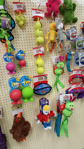 Pet Store «Bone Appetite», reviews and photos, 1075 Main St, Watertown, CT 06795, USA