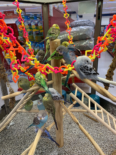 Pet Supply Store «Petco Animal Supplies», reviews and photos, 420 El Cerrito Plaza, El Cerrito, CA 94530, USA