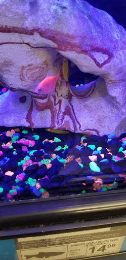 Pet Supply Store «Petco Animal Supplies», reviews and photos, 85 State St, Orem, UT 84058, USA