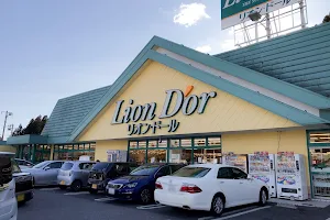 Lion D'or Nikko Store image