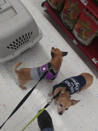 Pet Supply Store «Petco Animal Supplies», reviews and photos, 1018 Mt Prospect Plaza, Mt Prospect, IL 60056, USA