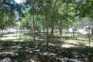 Almendros III Park image