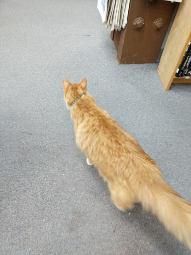 Book Store «The Book Bin», reviews and photos, 450 Court St NE, Salem, OR 97301, USA