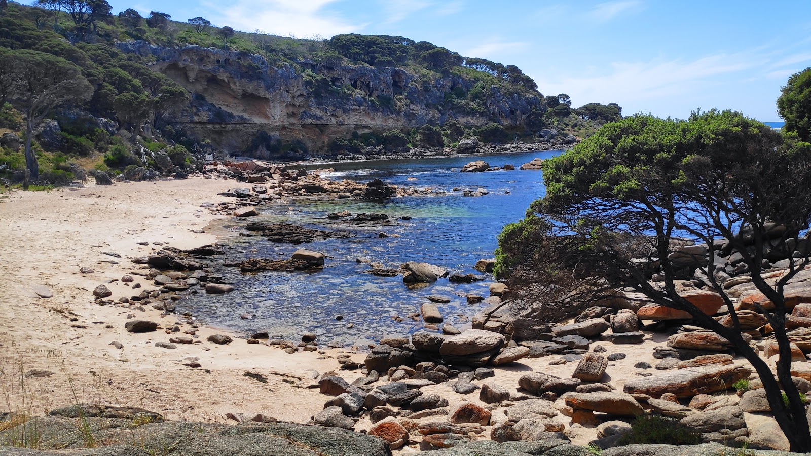 Shelley Cove Beach'in fotoğrafı - rahatlamayı sevenler arasında popüler bir yer