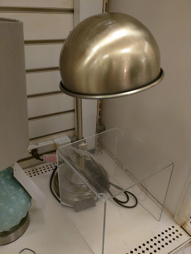 Department Store «Marshalls & HomeGoods», reviews and photos, 1745 S Easton Rd, Doylestown, PA 18901, USA