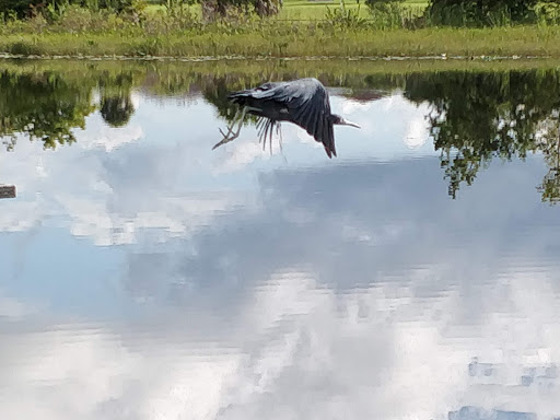 Community Center «Volunteer Park Community Center», reviews and photos, 12050 W Sunrise Blvd, Plantation, FL 33323, USA