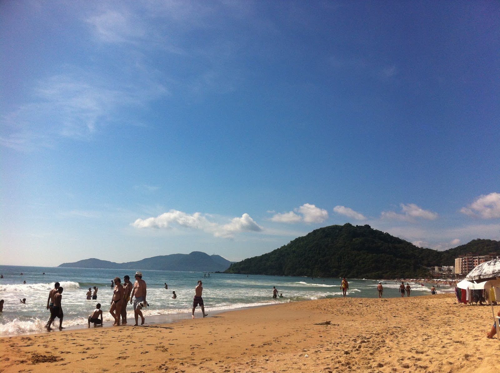 Photo of North Brava Beach backed by cliffs