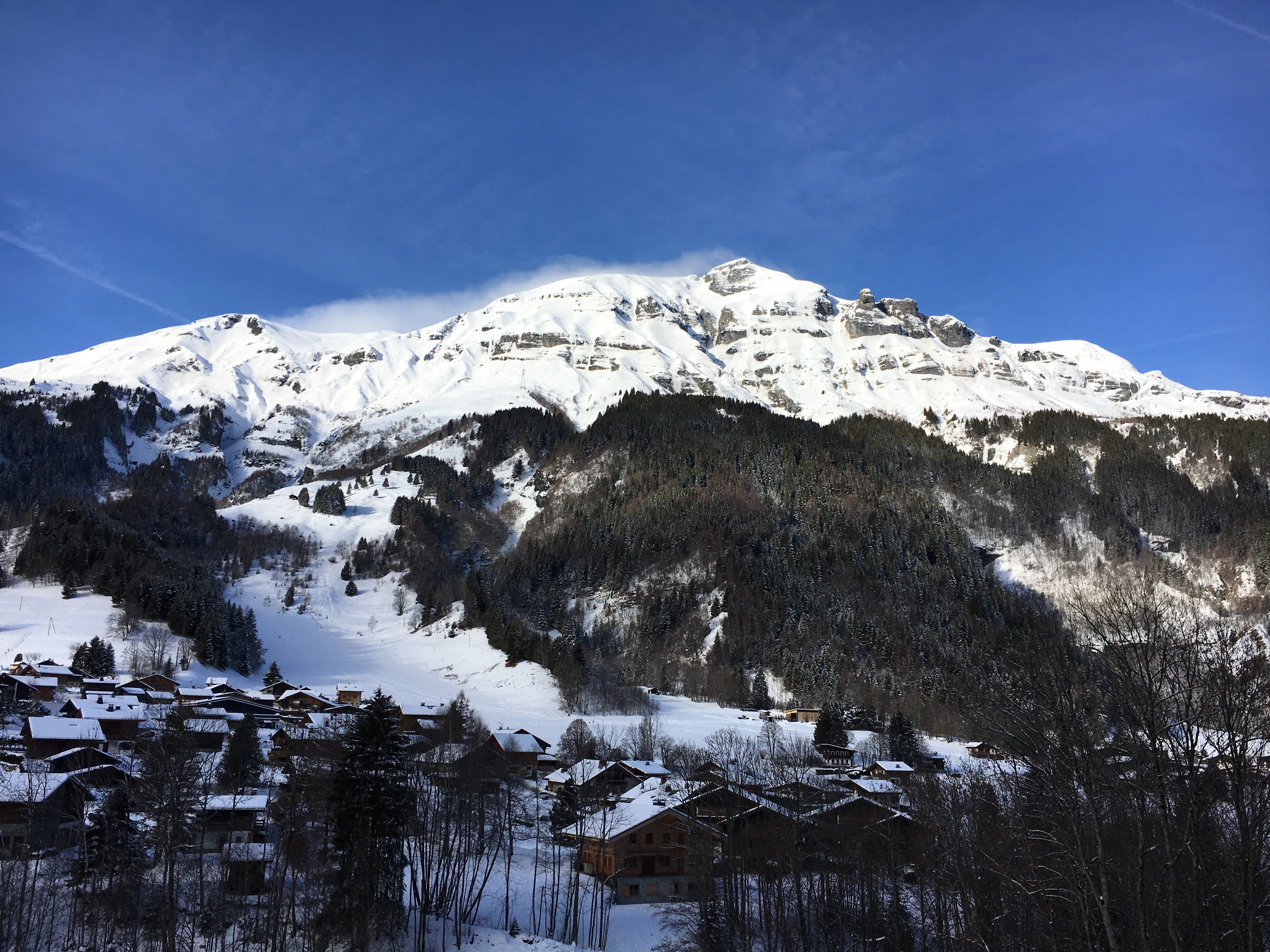 Photo n° 23 de l'avis de V. fait le 26/01/2019 à 11:08