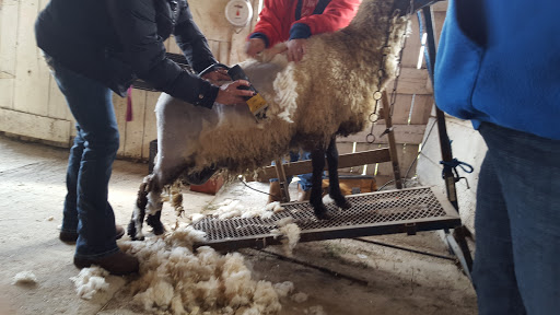 Farm «Benton Family Farm», reviews and photos, 11896 Old Lexington Pike, Walton, KY 41094, USA