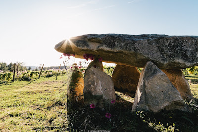 VIN NU VIN NATURE à Boussac-Bourg