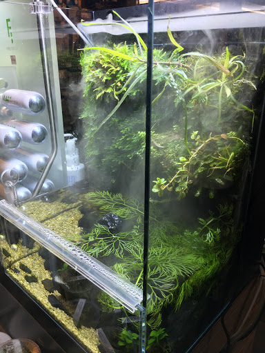 Tropical Fish Store «Aqua Forest Aquarium», reviews and photos, 1718 Fillmore St, San Francisco, CA 94115, USA