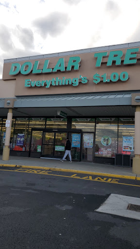 Dollar Store «Dollar Tree», reviews and photos, 1038 U.S. 9, Parlin, NJ 08859, USA