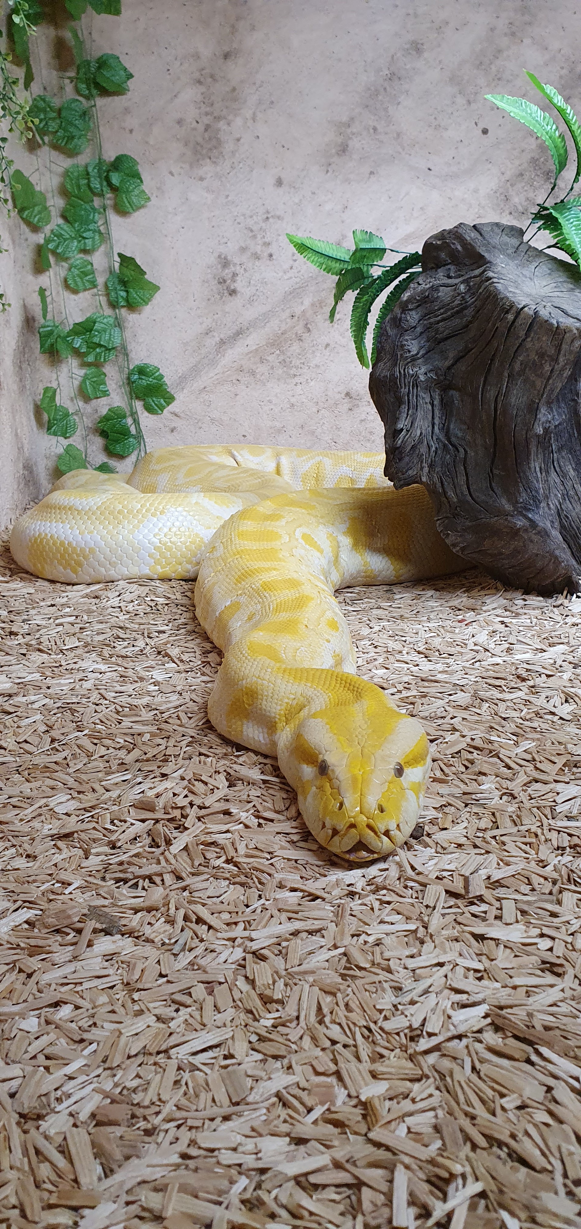 Photo n° 32 de l'avis de Laëtitia.E fait le 25/07/2020 à 00:11