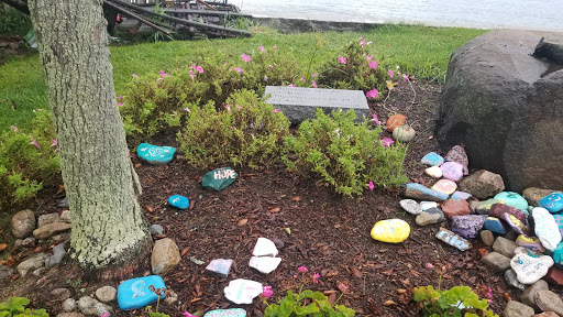 Garden «Lynch Park Rose Garden», reviews and photos, Lynch Park, Beverly, MA 01915, USA