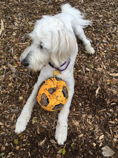 Pet Supply Store «Lemos Feed & Pet Supply», reviews and photos, 1320 Main St, Morro Bay, CA 93442, USA