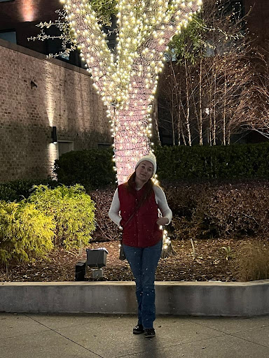 Shopping Mall «Avalon», reviews and photos, 2200 1st St, Alpharetta, GA 30009, USA