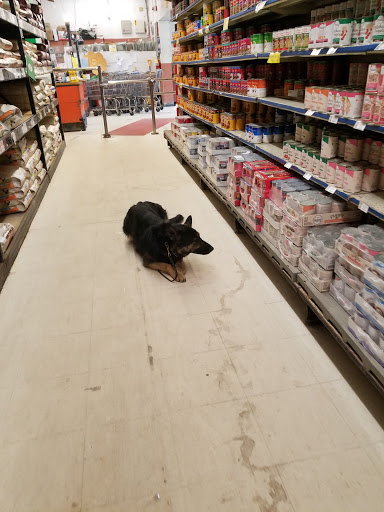 Pet Supply Store «K-9 Specialties», reviews and photos, 31936 Mound Rd, Warren, MI 48092, USA