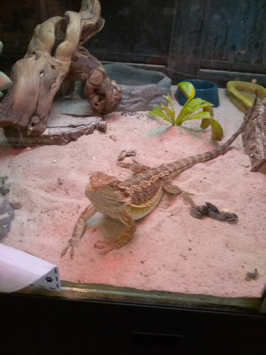 Pet Store «Pets Plus Inc», reviews and photos, 2610 Jefferson Davis Hwy, Stafford, VA 22554, USA