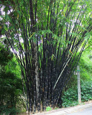 Top 20 cửa hàng son môi Huyện Kim Bảng Hà Nam 2022