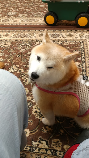 12100 Nebel St, Rockville, MD 20852, USA