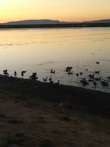 Shopping Mall «Redwood Square Shopping Center», reviews and photos, 480 Redwood St, Vallejo, CA 94590, USA