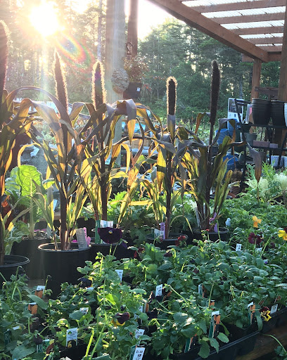 General Contractor «Laurel Bay Gardens Inc», reviews and photos, 88493 US-101, Florence, OR 97439, USA