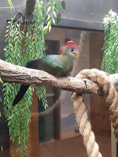 Zoo «Lake Superior Zoo», reviews and photos, 7210 Fremont St, Duluth, MN 55807, USA