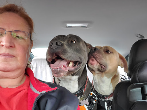 Pet Groomer «U Dirty Dog», reviews and photos, 232 Stevens Entry, Peachtree City, GA 30269, USA