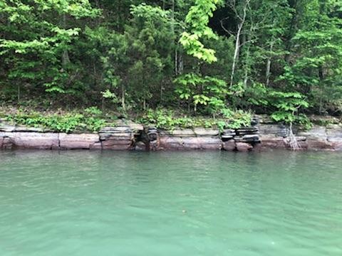 Marina «Mitchell Creek Marina», reviews and photos, 1260 Livingston Boat Dock Rd, Allons, TN 38541, USA