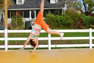 Festival «Temple Hall Fall Festival & Corn Maize», reviews and photos, 15855 Limestone School Rd, Leesburg, VA 20176, USA