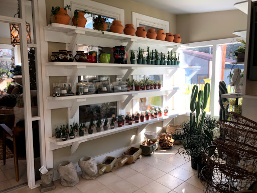 Plant Nursery «Potomac Petals and Plants», reviews and photos, 9545 River Rd, Rockville, MD 20854, USA