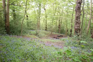Brotherton Park and Dibbinsdale Local Nature Reserve image