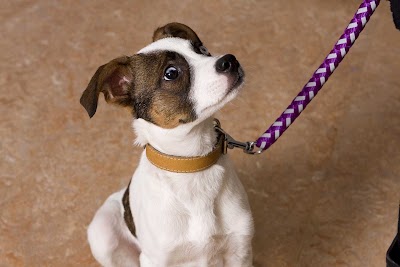 Photos of Veterinary Referral Center the Pieters