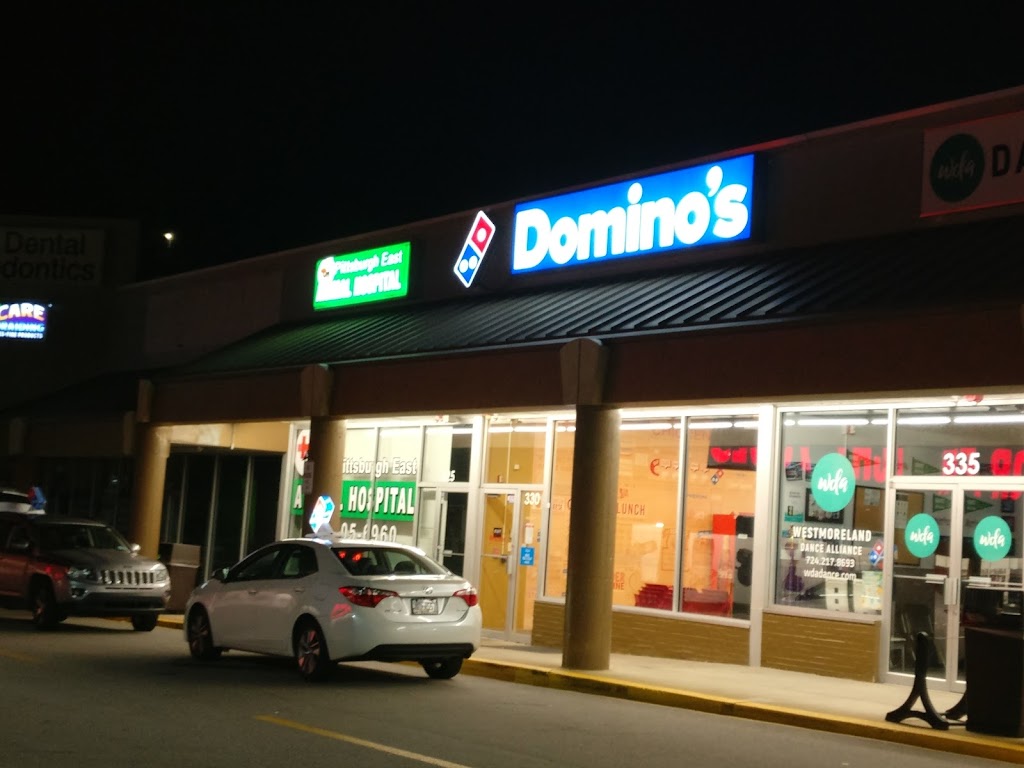 Domino's Pizza 15601