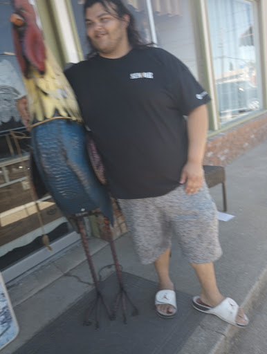 Antique Store «Rancho Coop», reviews and photos, 5685 Main St, Oakley, CA 94561, USA