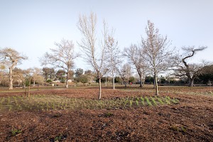 Mast Park Parking Lot - photo 82