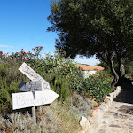 Photo n°27 de l'avis de Nicola.a fait le 16/10/2022 à 12:49 sur le  Locanda Murales à Olbia