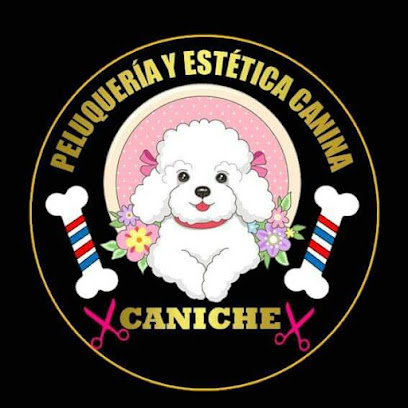 Estética canina 'Caniche'
